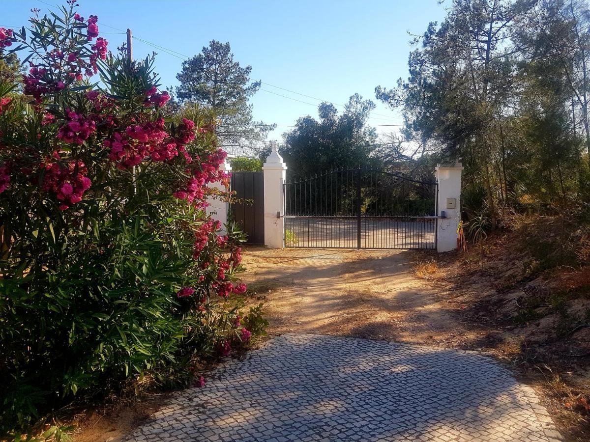 Romance Valdareina, Piscine Chauffee, Benagil-Carvoeiro 카르보에이루 외부 사진